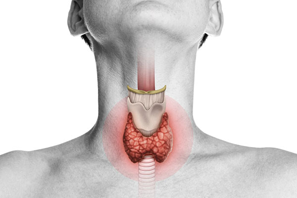 The Connection between Thyroid & Gut Issues - Gastro Florida