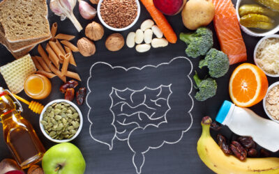 Gut Health Habits That Transform Your Digestive Wellness